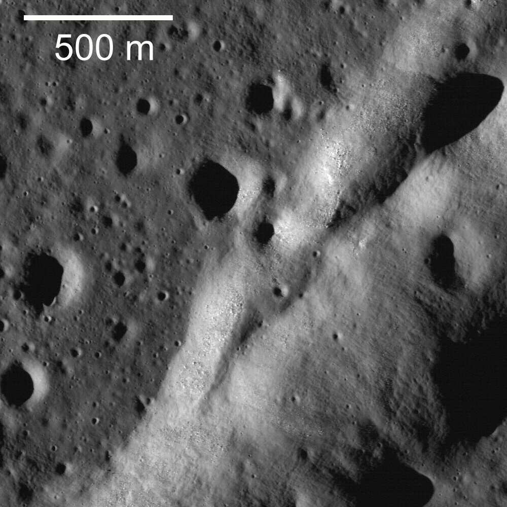 M102292647l ridge