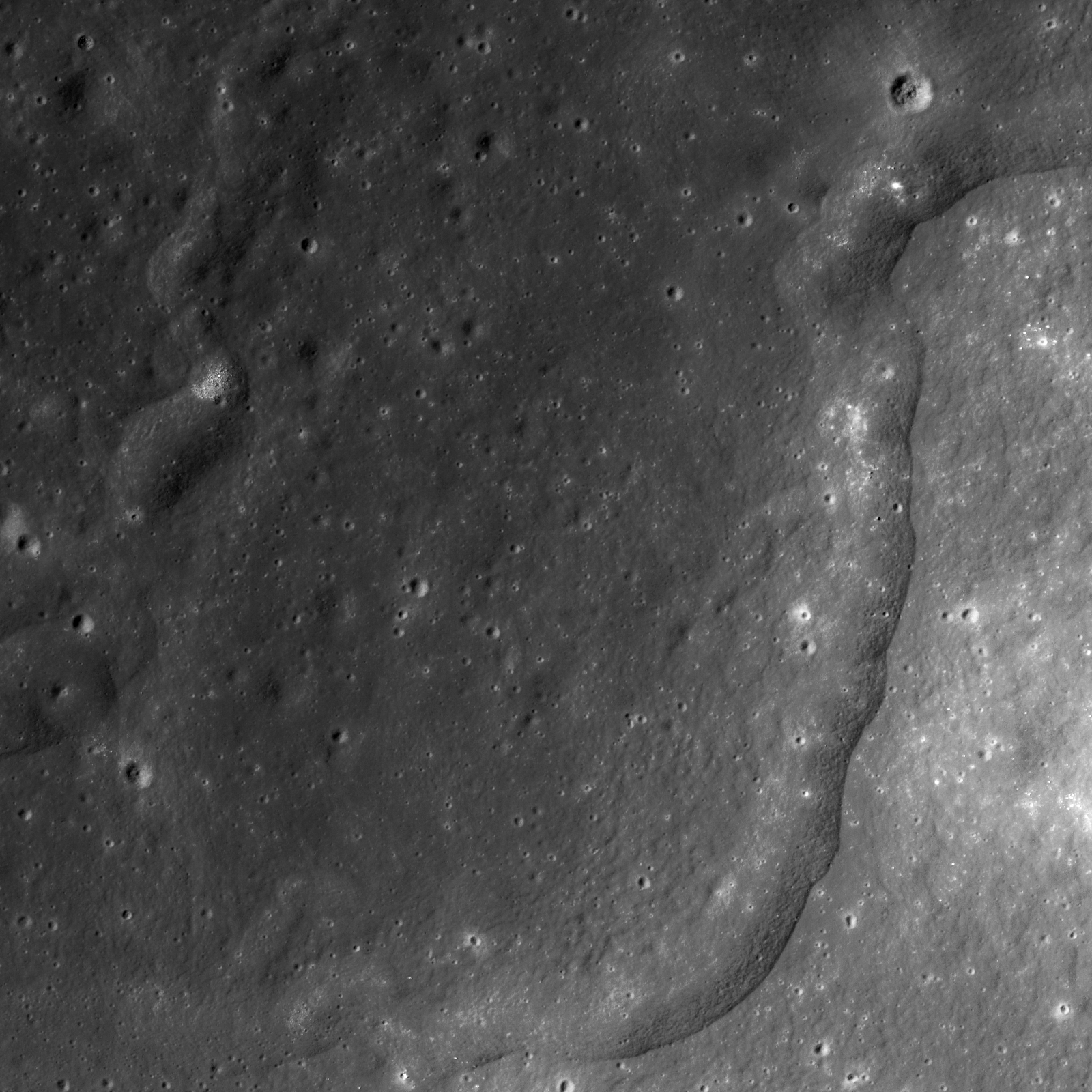 Wrinkle Ridges in Aitken Crater!