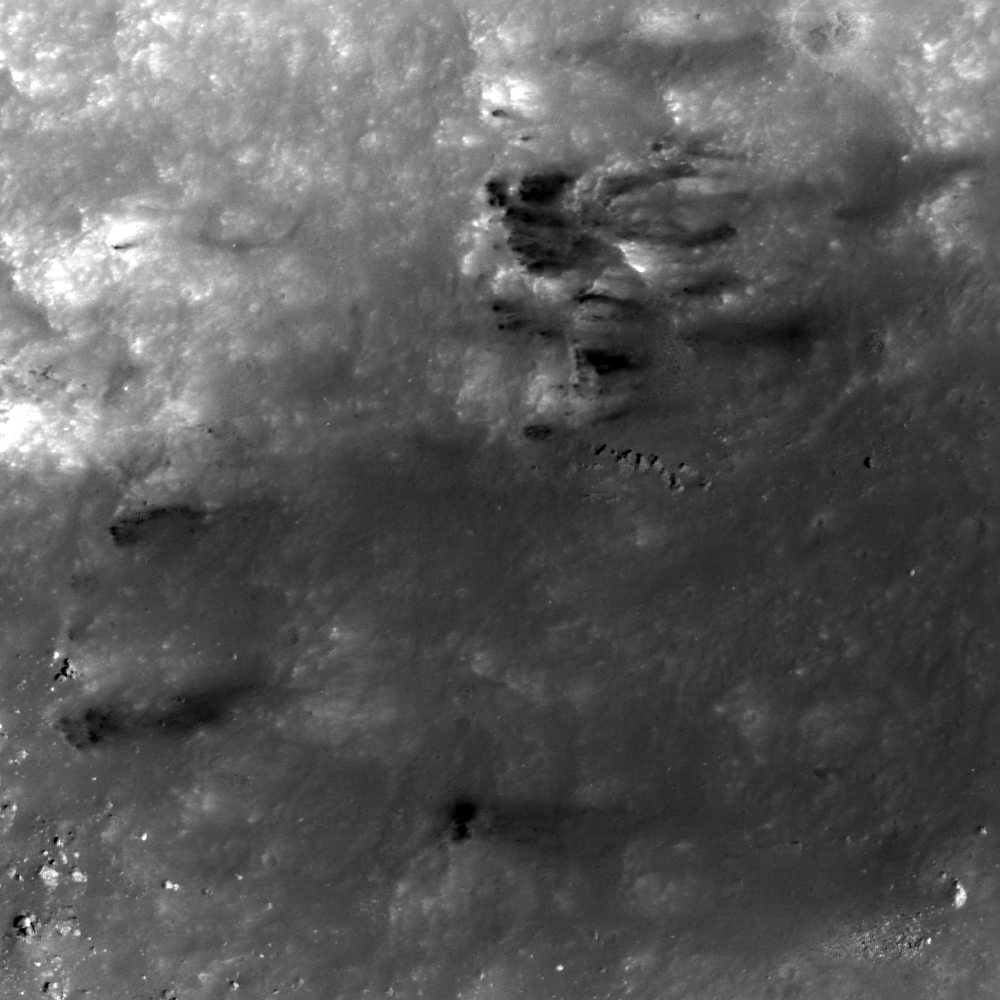 Dark Wisps in Copernicus